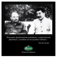 Власть и политика